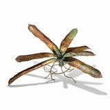 Bromeliad with Poison Dart Frogs Sculpture - CLIO SASKIA