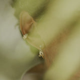 BOWERBIRD FLIGHT HOOPS - CLIO SASKIA