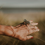 CHAMELEON RING, CLIO SASKIA. Handmade in London in recycled gold, natural Australian sapphires. Nature inspired cocktail ring