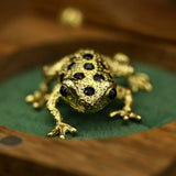 POISON ARROW FROG - CLIO SASKIA