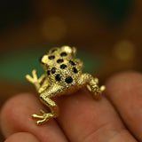 POISON ARROW FROG - CLIO SASKIA