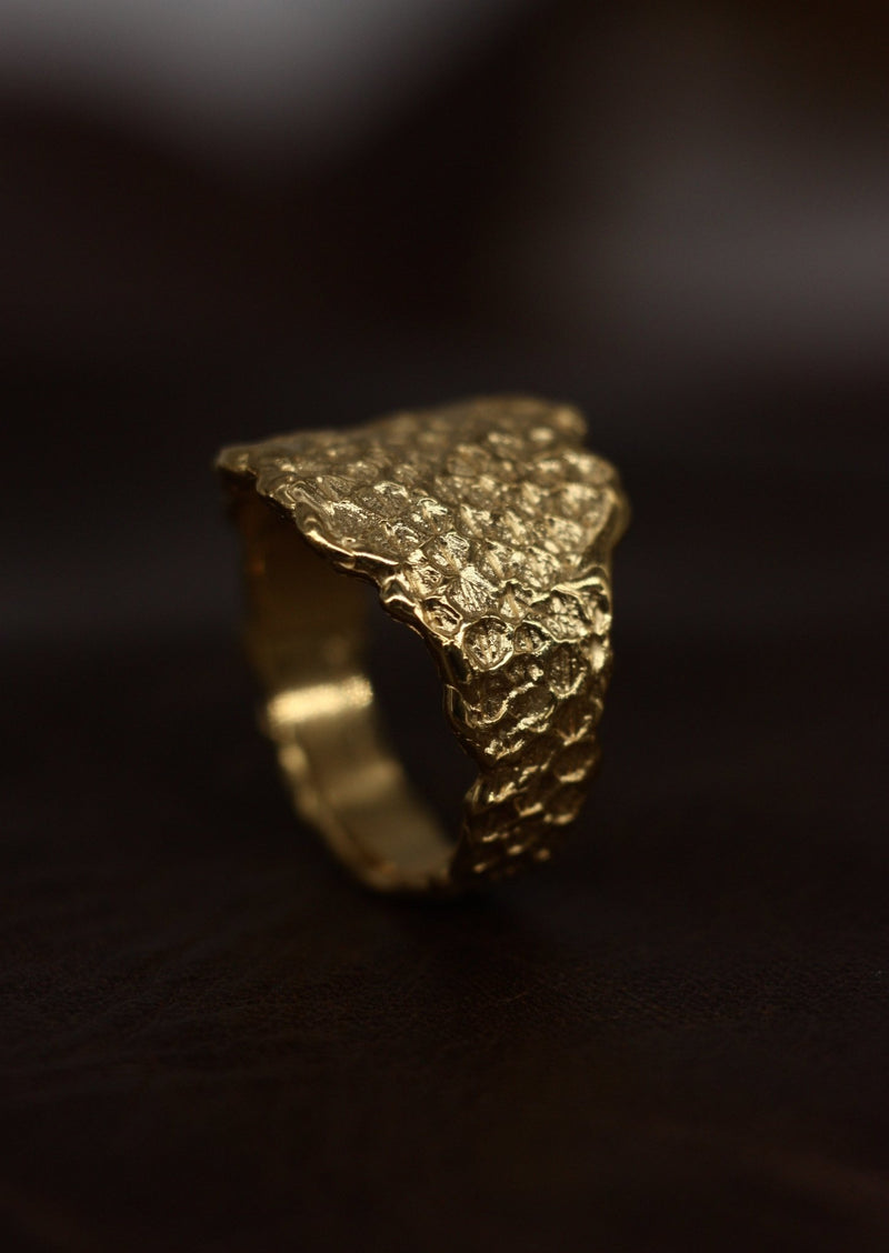 Bearded Dragon Signet Ring [Pogona vitticeps] - CLIO SASKIA